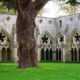 Home for monks NYT crossword answer is ABBEY. Get the full explanation, plus how it differs from a monastery or priory.